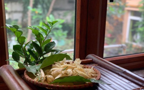 Dịu dàng hương ngọc lan